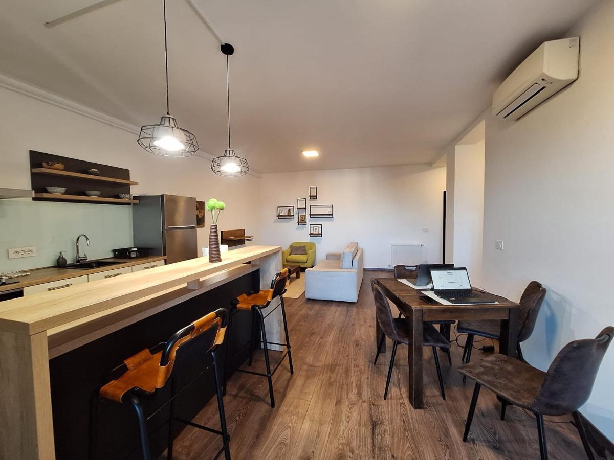 Mirvana Apartments Metheor Executive Suite Temesvár Kültér fotó