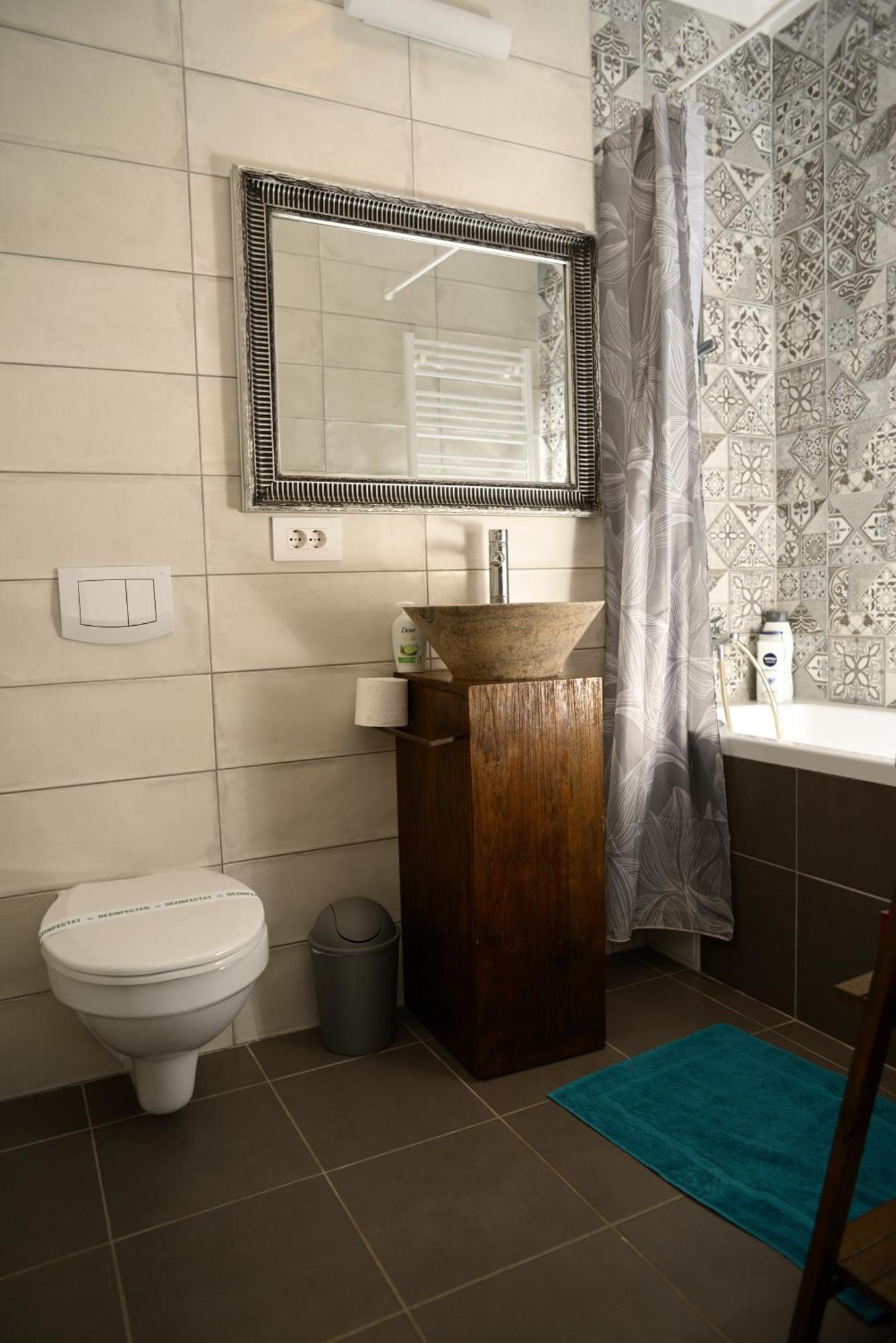 Mirvana Apartments Metheor Executive Suite Temesvár Kültér fotó