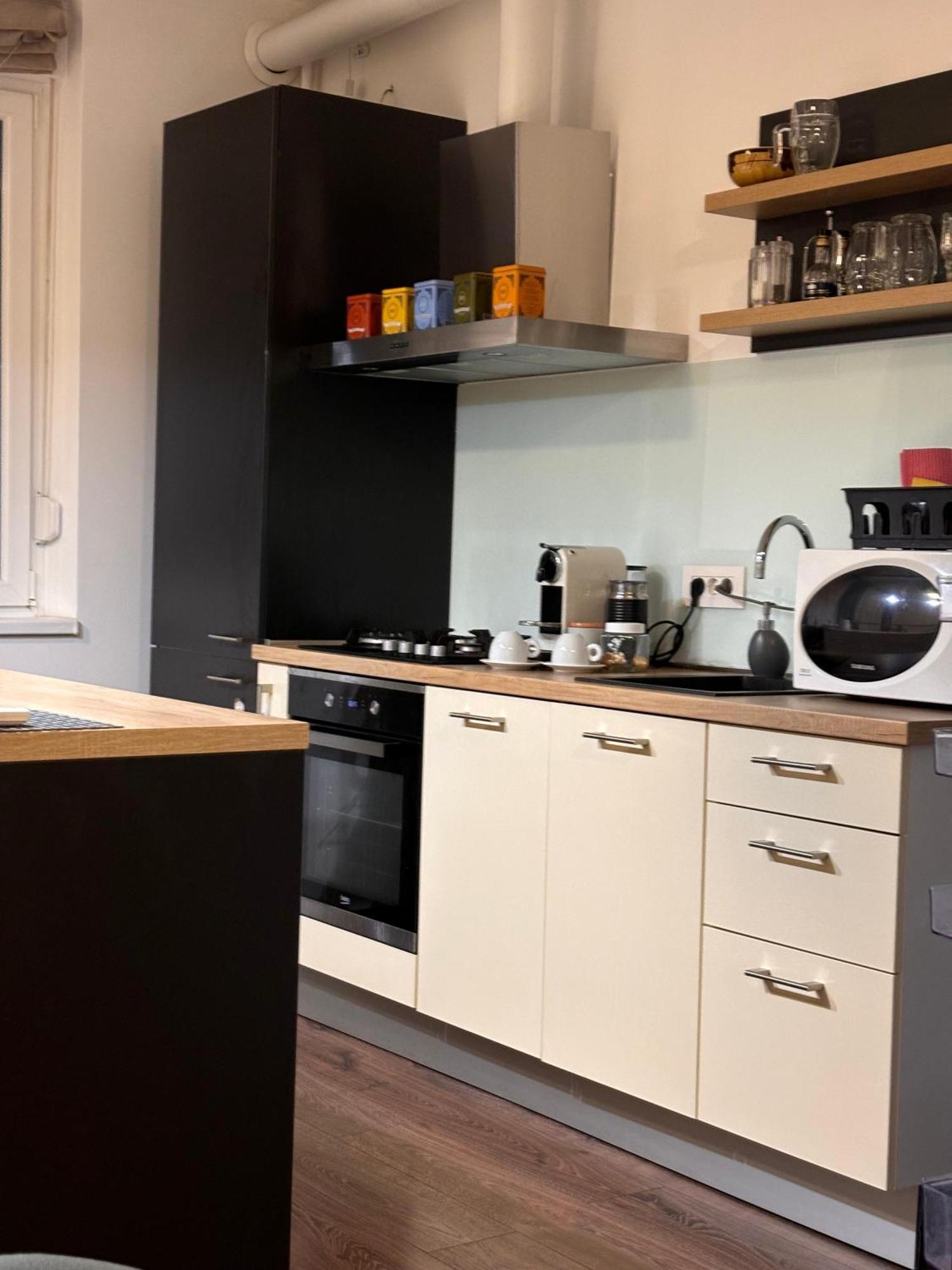 Mirvana Apartments Metheor Executive Suite Temesvár Kültér fotó